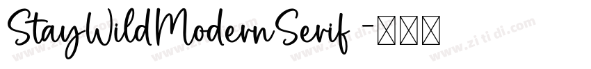 StayWildModernSerif 字体转换